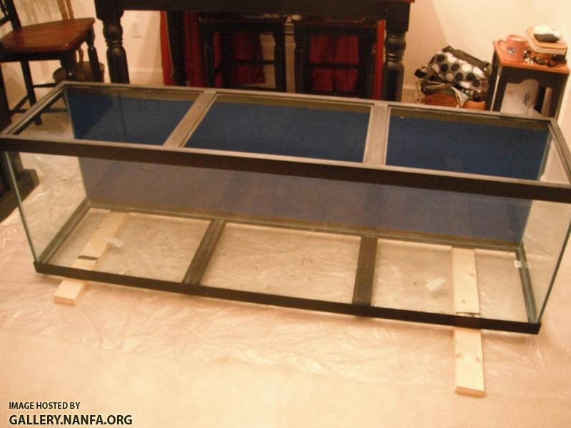 Tank w frame.jpg