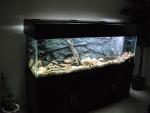 Completed Aquarium 11.jpg