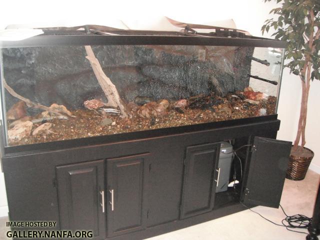 Tank Setup 4.jpg