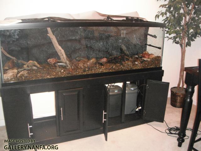 Tank Setup 5.jpg