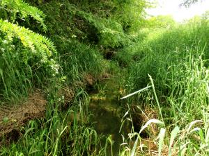 Lemmerbrock Ditch