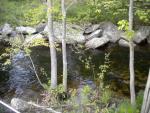 california brook