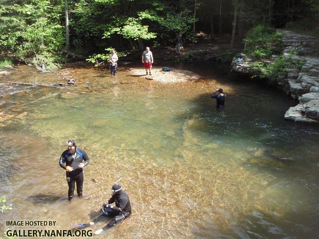 Dismal Falls Pool