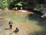 Dismal Falls Pool