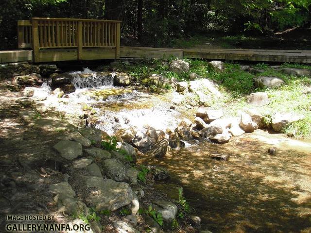 Trout Pool In