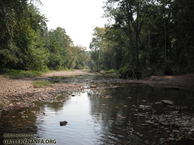 Buck Creek 3.JPG