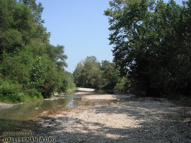 Fishing Creek 3.JPG