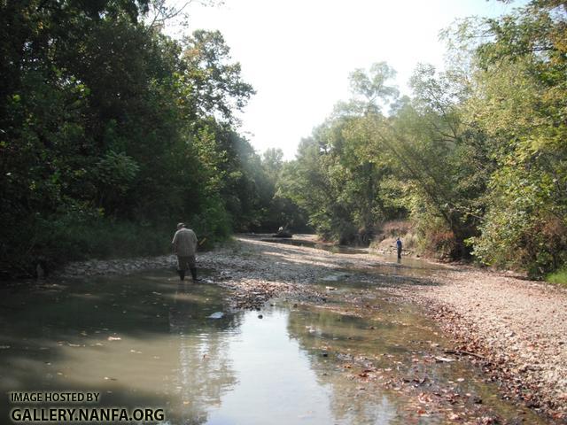 Fishing Creek 5.JPG