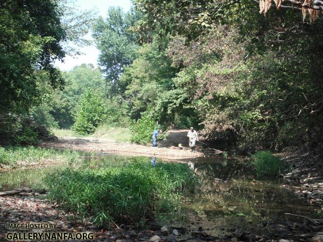 Fishing Creek 7.JPG