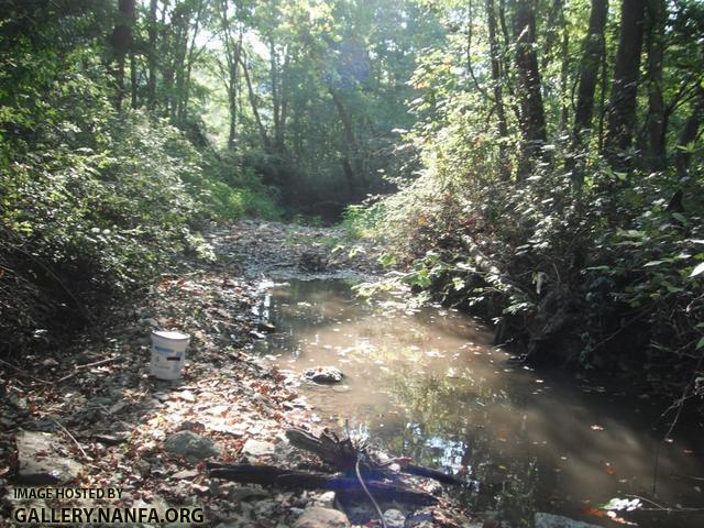 Upper Fishing Creek.JPG