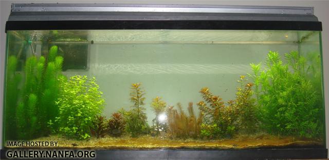 tank as of october 19th 2011