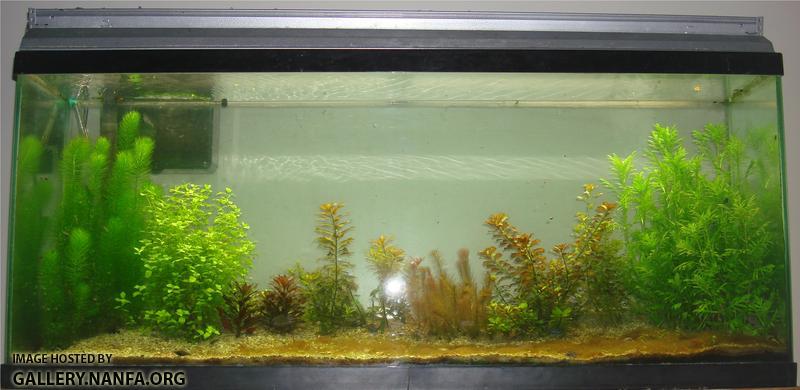 tank as of october 19th 2011