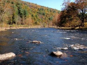 Lackawaxen River