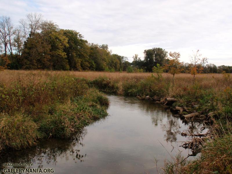 Macochee Creek