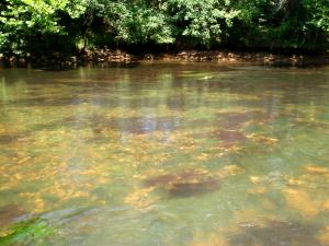 Roanoke River