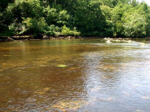 Roanoke River