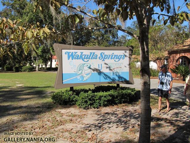 Wakulla Springs