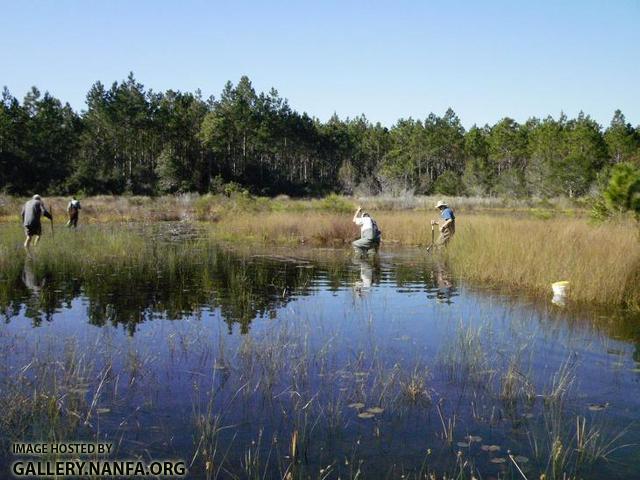 Muck Stuck Pond