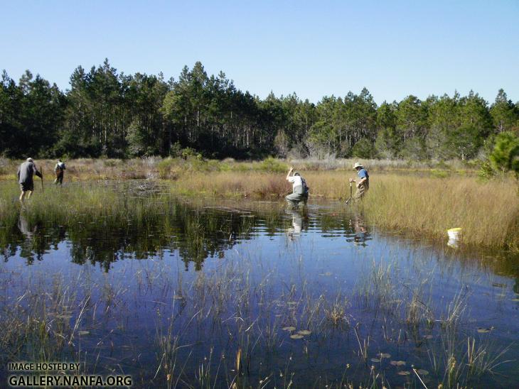 Muck Stuck Pond