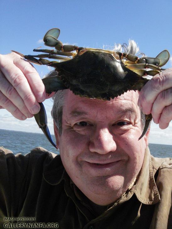 Phil's Head Crab