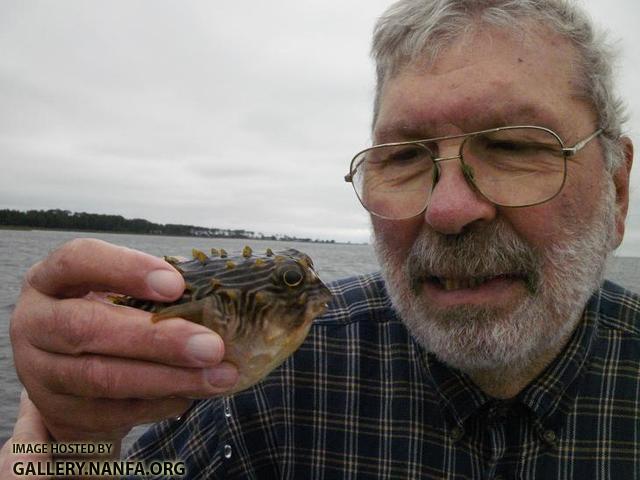 Rudy's Puffer