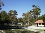 Wakulla Springs