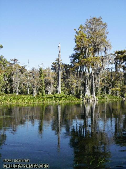 Beautiful Wakulla