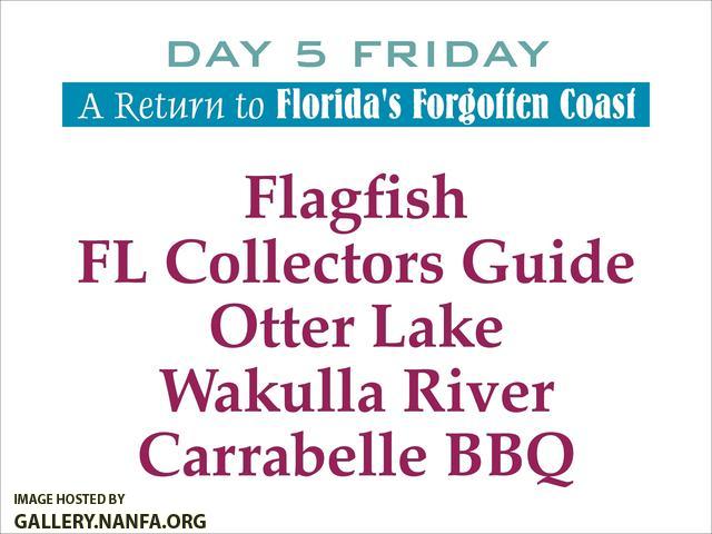 Florida's Forgotten Coast   Day 5