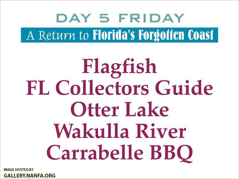 Florida's Forgotten Coast   Day 5