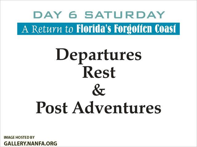 Florida's Forgotten Coast   Day 6