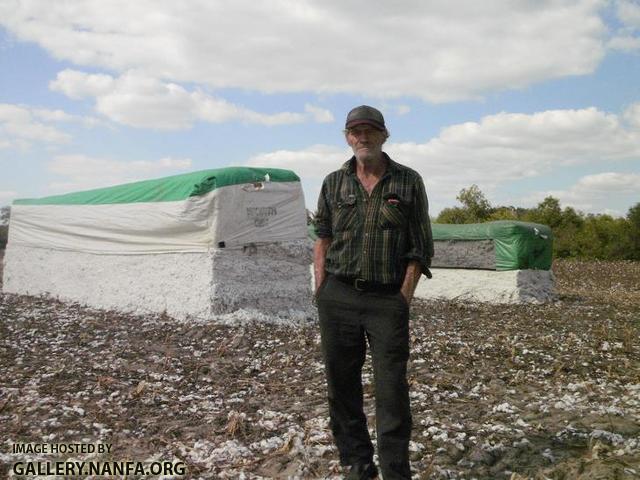 Cotton Picker