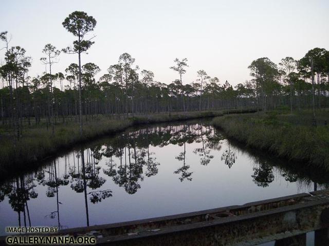 Sunset Bridge