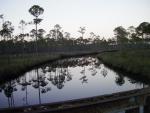 Sunset Bridge