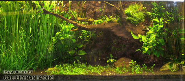 168 gallon tank, Feb 2010