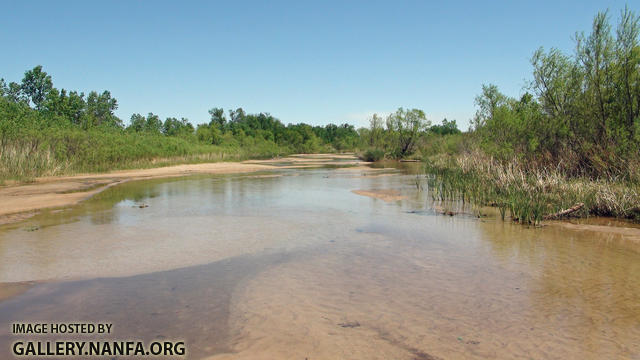 red river pupfish habitat