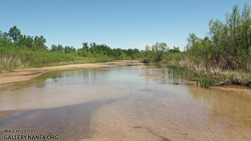 red river pupfish habitat