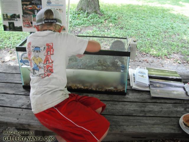 Clean the Green 2012 - aquarium 2.JPG