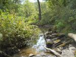 small stream 2