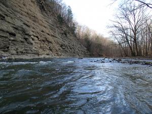 West Branch Rocky River