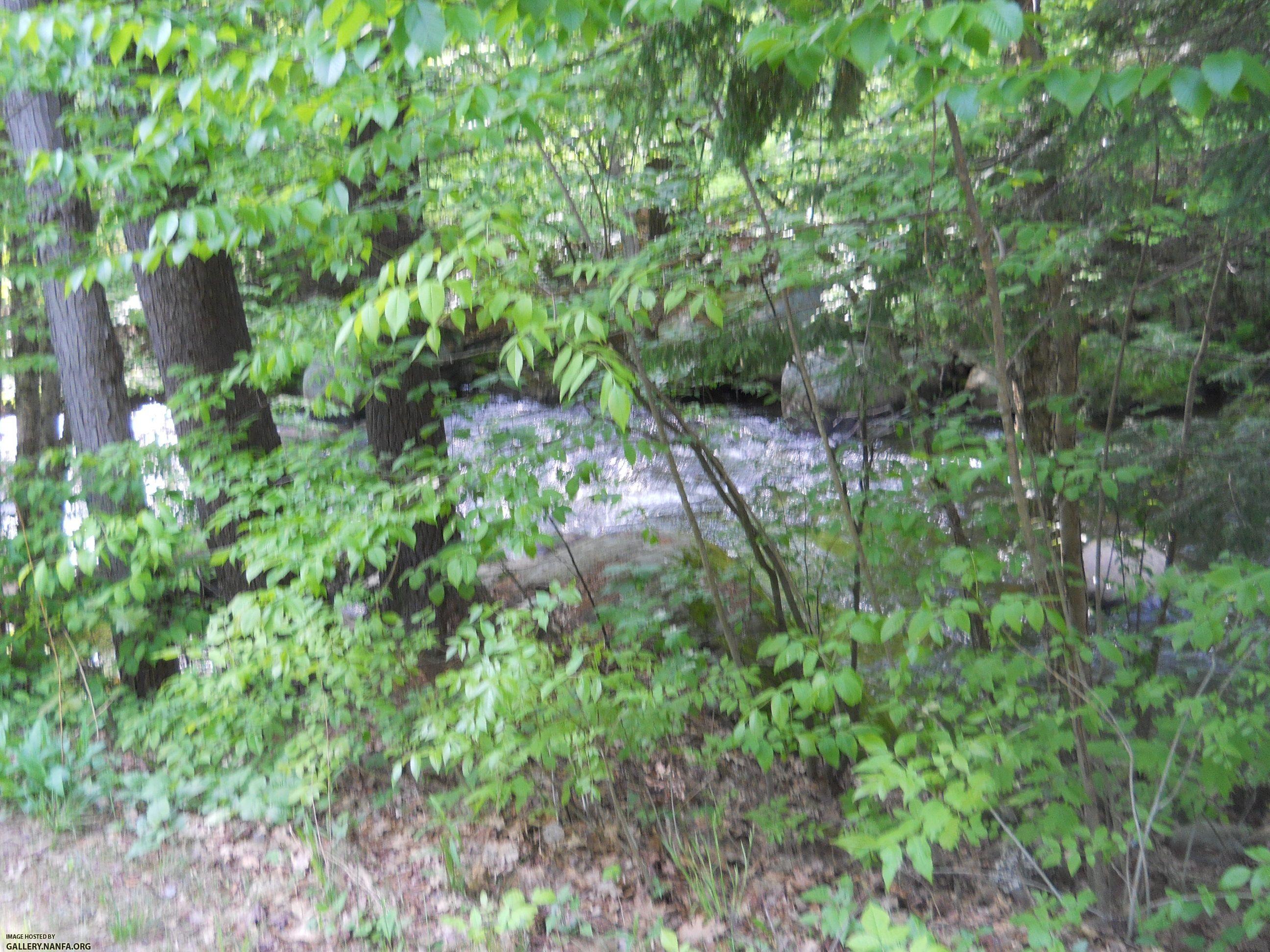 otter brook