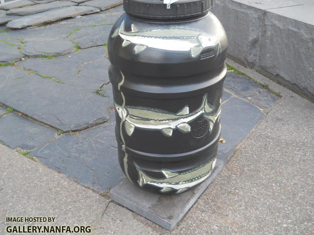 sturgeon barrel