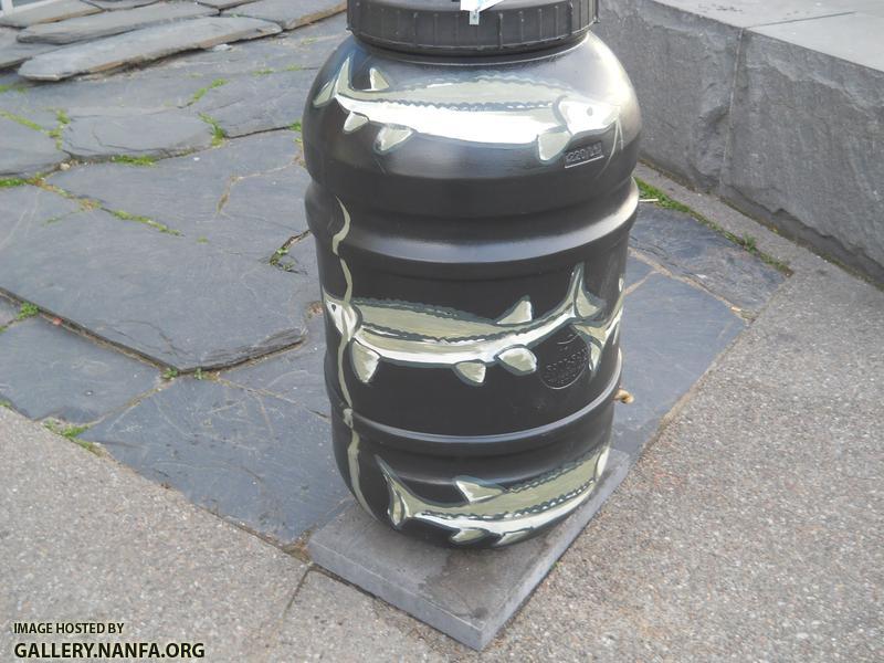 sturgeon barrel