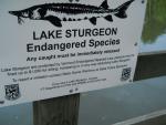 sturgeon sign