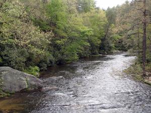 Chattooga River