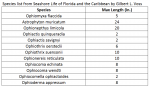 Florida brittle star species list