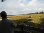 New Hampshire Coast