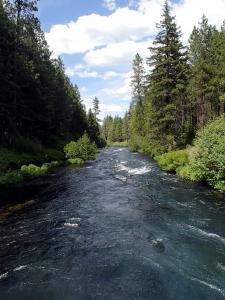 Metolius River