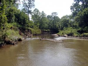 East Branch Chagrin River