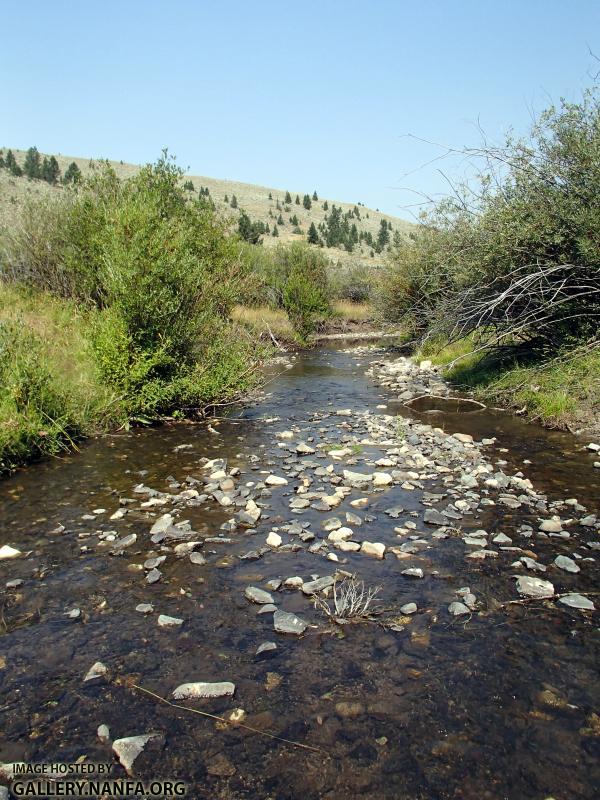 Bozeman Fork Musselshell River