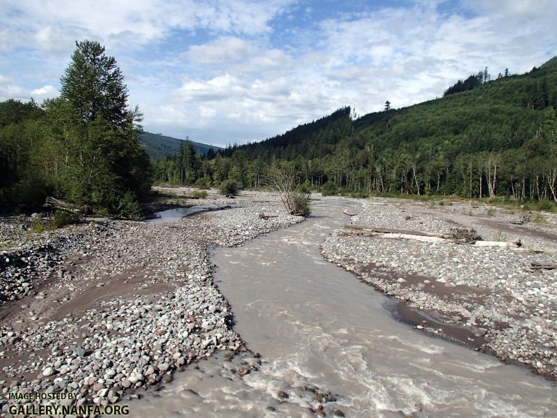 Carbon River